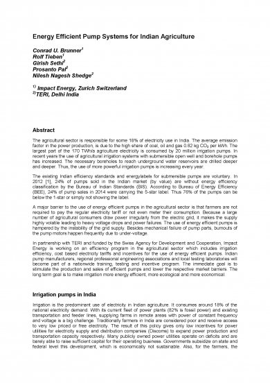 "Energy Efficient Pump Systems for Indian Agriculture" (EEMODS'17/paper)