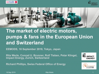 «The market of electric motors, pumps & fans in the European Union and Switzerland» (EEMODS'19/ppp)
